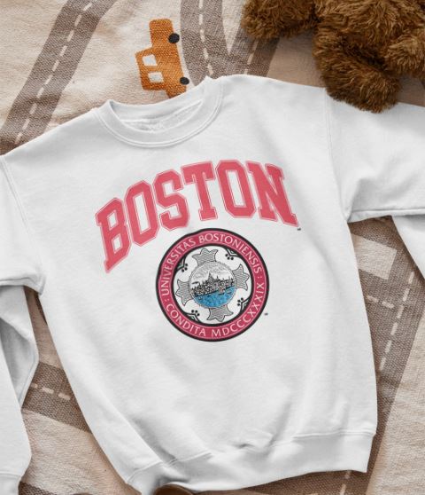 Vintage Style 1990s Boston University Crewneck Sweatshirt, Vintage Style 90s Shirt, Gift For Her, Gift For Him