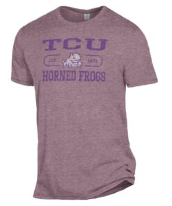 TCU Horned Frogs Alternative Apparel The Keeper T-Shirt - Heathered Purple, University Football Fan Shirt, TCU Shirts Gift for Fans