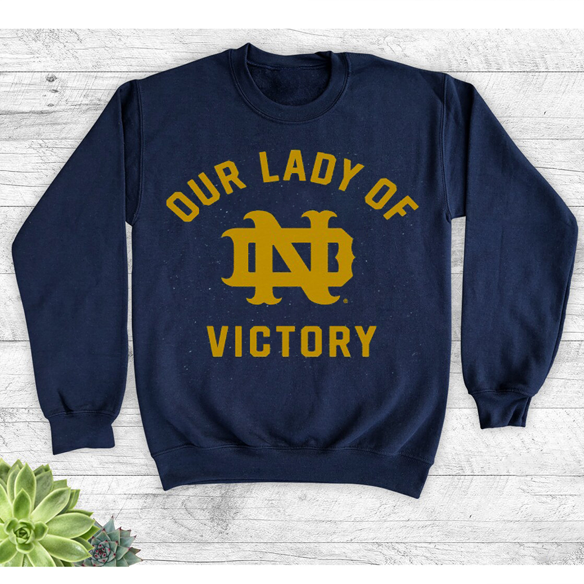 Vintage Style Notre Dame Our Lady of Victory Hoodie for Fans