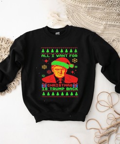 Trump Back Ugly Christmas Sweatshirt - All I Want For Christmas Is Trump Shirt, Hoodie Fan Gift